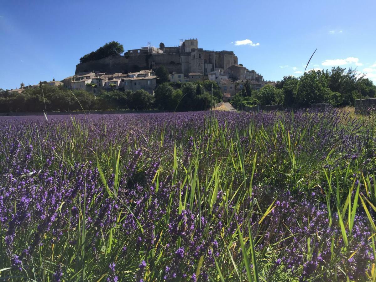 Guest house La Vie De Chateau Grignan